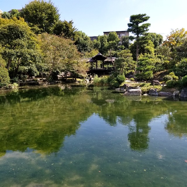 f:id:atoriatoriatori:20211025122727j:image f:id:atoriatoriatori:20211025122727j:image