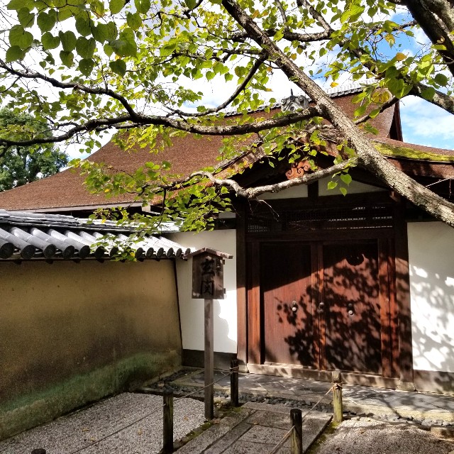 f:id:atoriatoriatori:20211029103420j:image f:id:atoriatoriatori:20211029103420j:image
