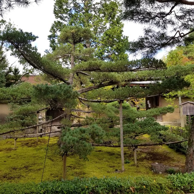 f:id:atoriatoriatori:20211029142819j:image f:id:atoriatoriatori:20211029142819j:image