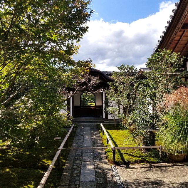 f:id:atoriatoriatori:20211029184427j:image