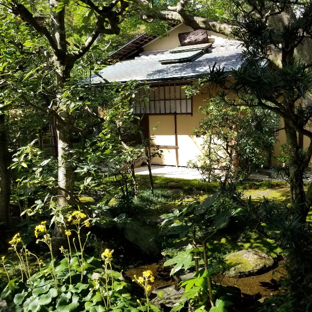 f:id:atoriatoriatori:20211029225158j:image