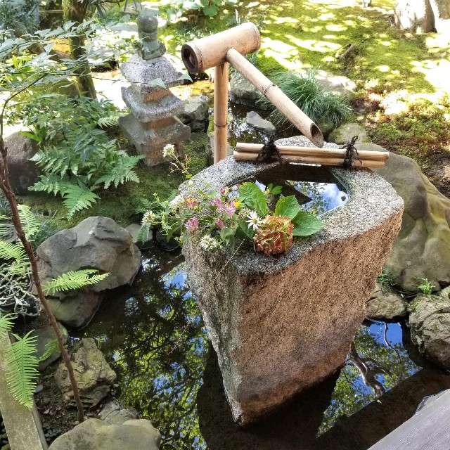 f:id:atoriatoriatori:20211029225330j:image