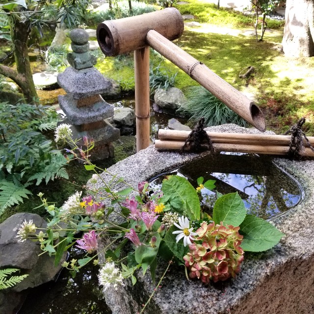 f:id:atoriatoriatori:20211029225343j:image