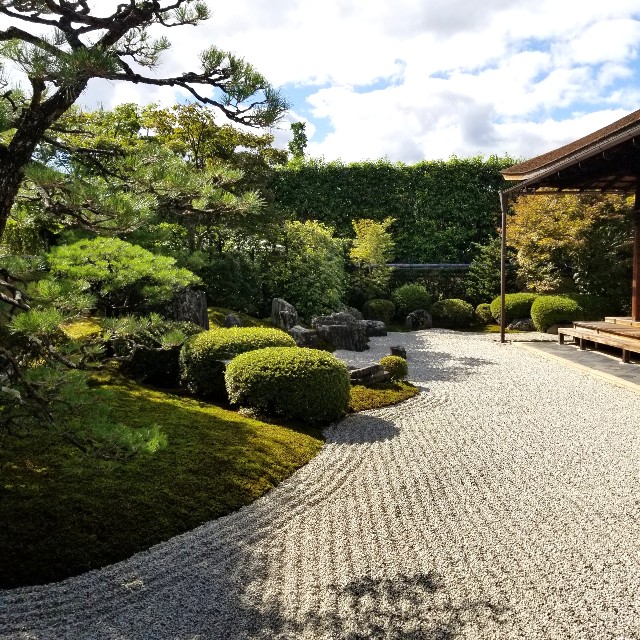 f:id:atoriatoriatori:20211030120410j:image