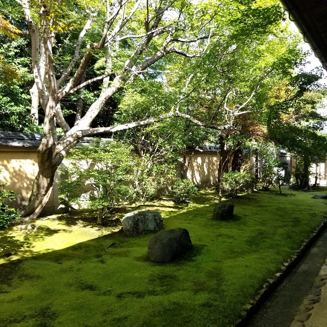 f:id:atoriatoriatori:20211030203033j:image