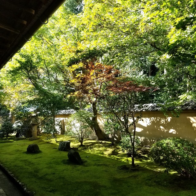 f:id:atoriatoriatori:20211030203041j:image