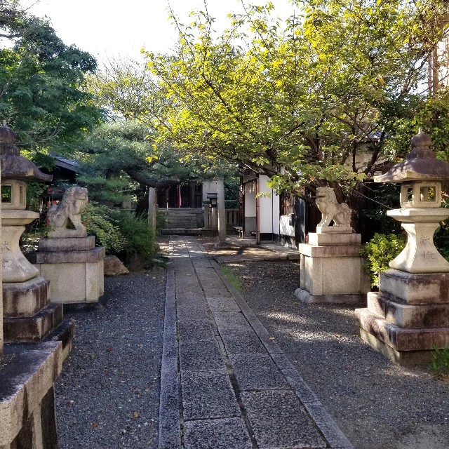 f:id:atoriatoriatori:20211031200406j:image