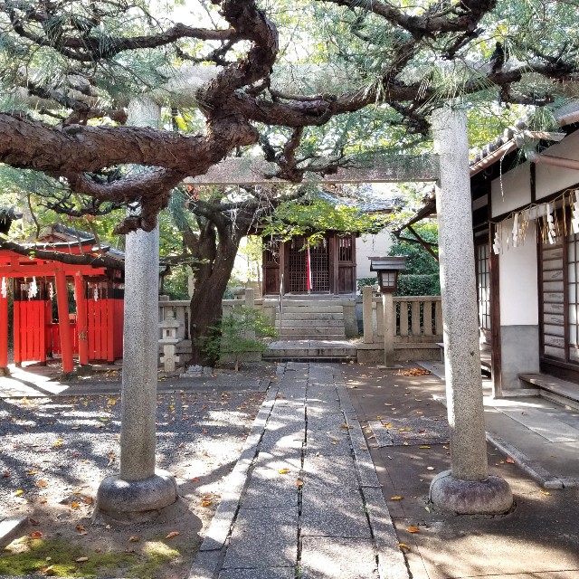 f:id:atoriatoriatori:20211031200416j:image