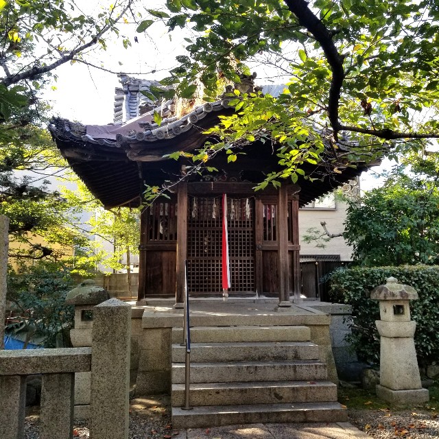 f:id:atoriatoriatori:20211031201213j:image
