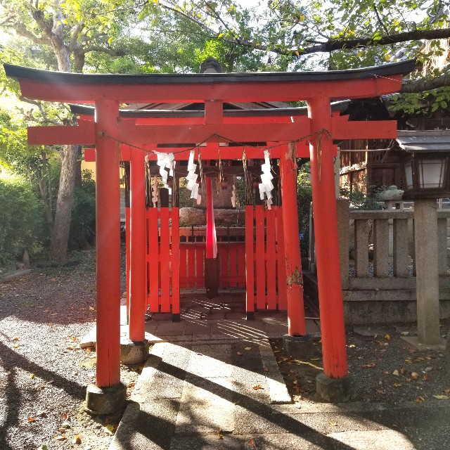 f:id:atoriatoriatori:20211031202438j:image