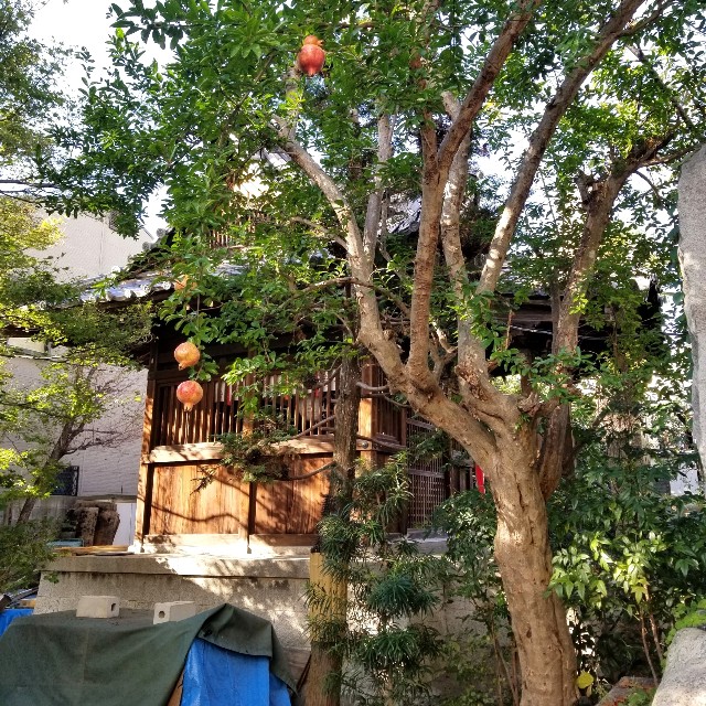 f:id:atoriatoriatori:20211031202454j:image