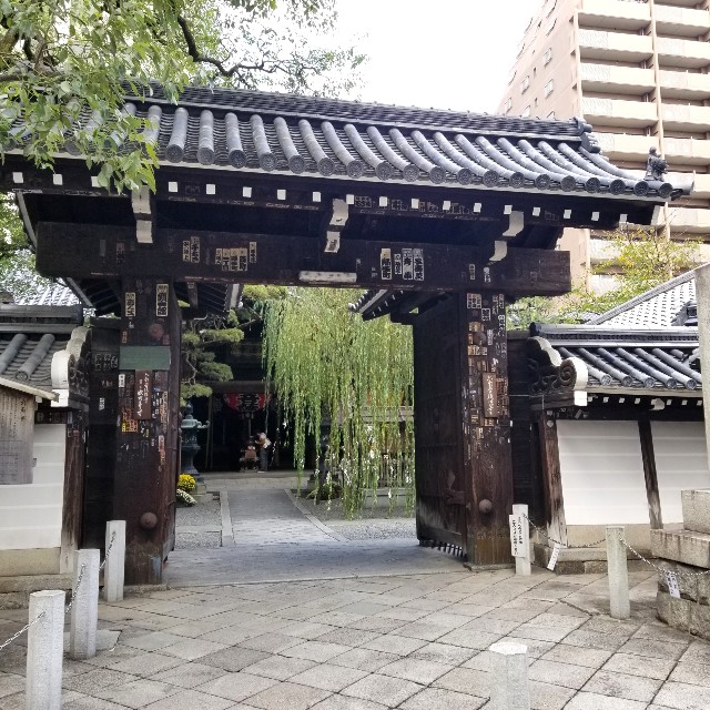f:id:atoriatoriatori:20211105192010j:image