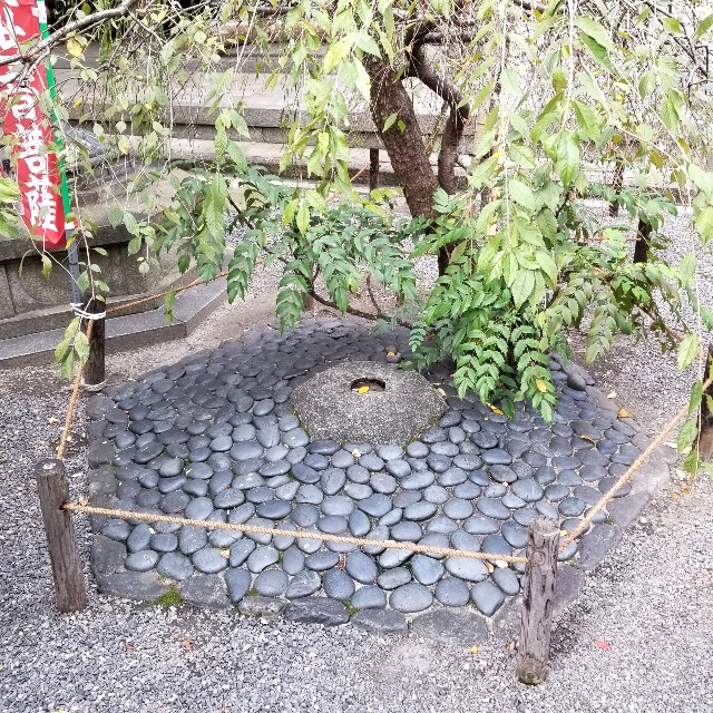 f:id:atoriatoriatori:20211106150538j:image