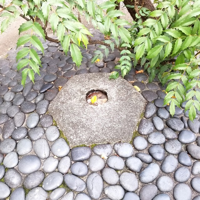 f:id:atoriatoriatori:20211106150546j:image