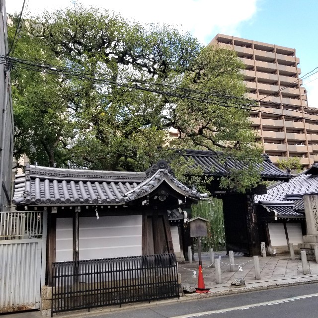 f:id:atoriatoriatori:20211106181349j:image