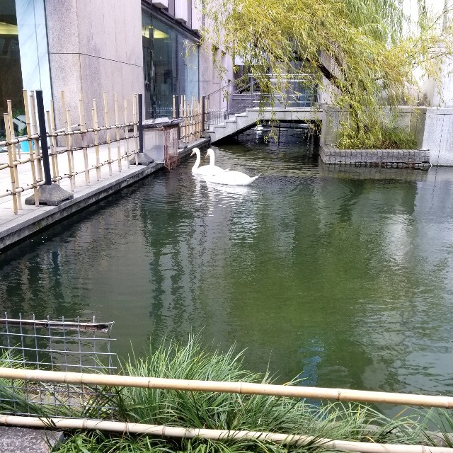 f:id:atoriatoriatori:20211107100539j:image