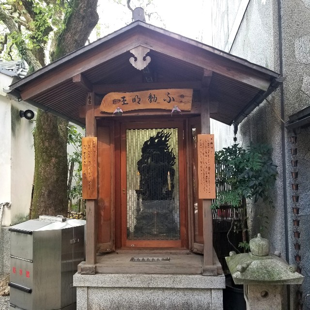f:id:atoriatoriatori:20211107102041j:image