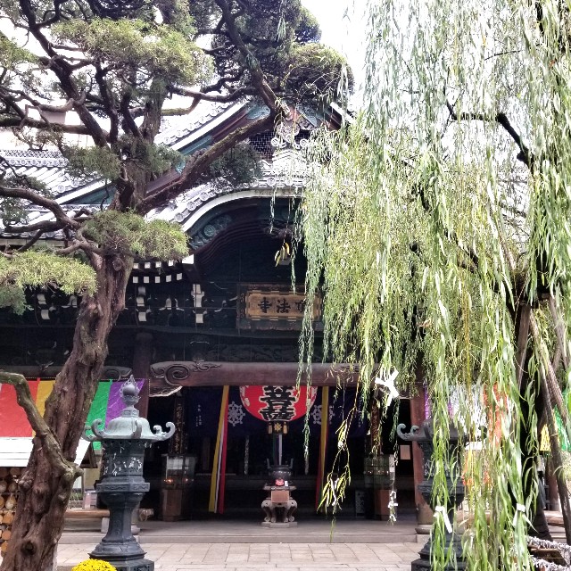 f:id:atoriatoriatori:20211107111158j:image