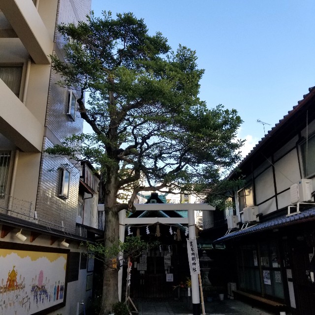 f:id:atoriatoriatori:20211108185332j:image