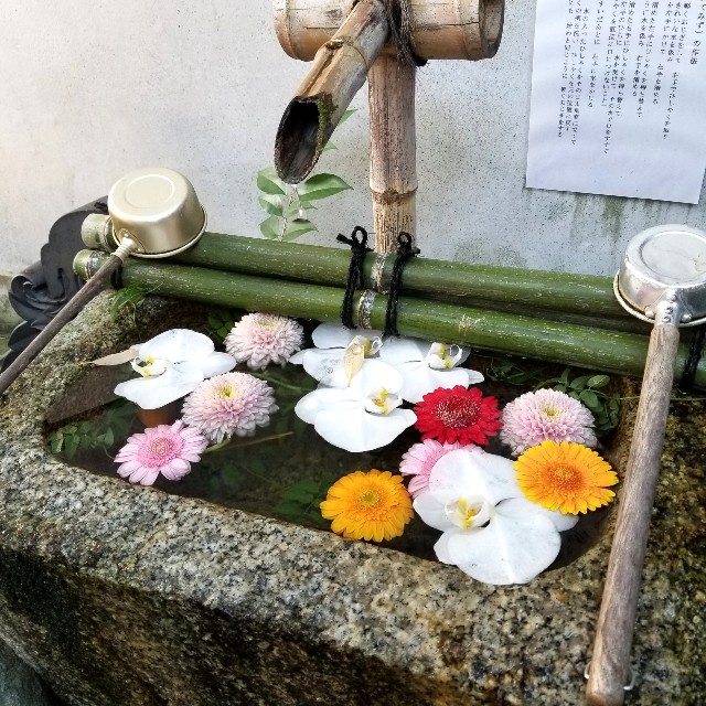 f:id:atoriatoriatori:20211108205135j:image