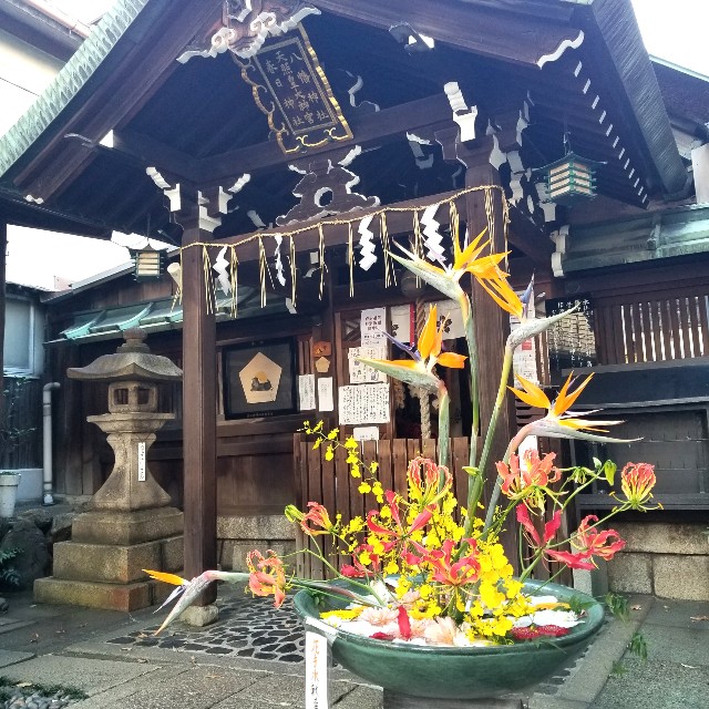 f:id:atoriatoriatori:20211108222711j:image
