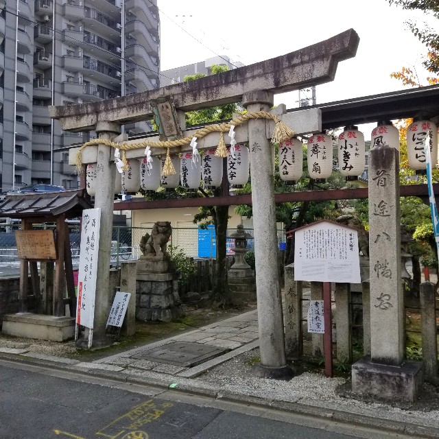 f:id:atoriatoriatori:20211110161227j:image