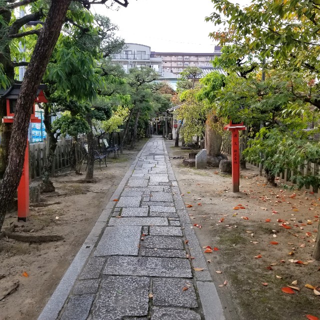 f:id:atoriatoriatori:20211110190311j:image