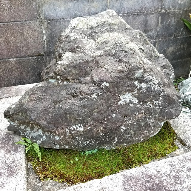 f:id:atoriatoriatori:20211110200302j:image