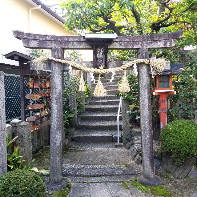 f:id:atoriatoriatori:20211110200310j:image