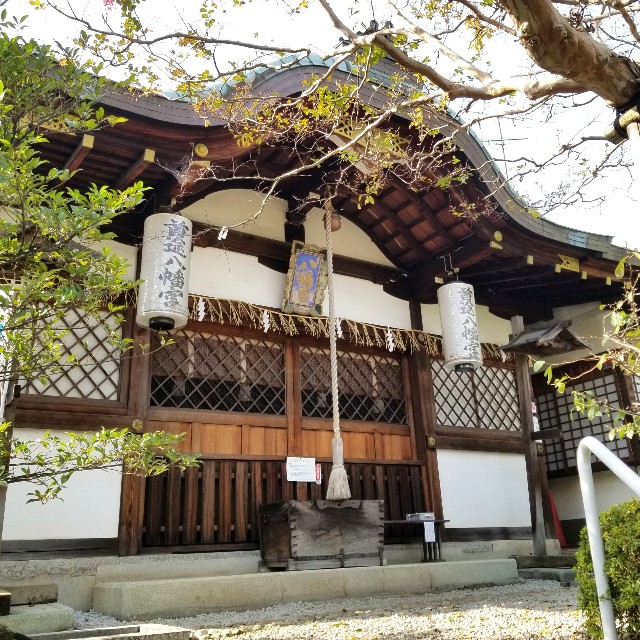 f:id:atoriatoriatori:20211110204325j:image