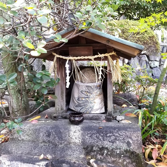 f:id:atoriatoriatori:20211111093622j:image