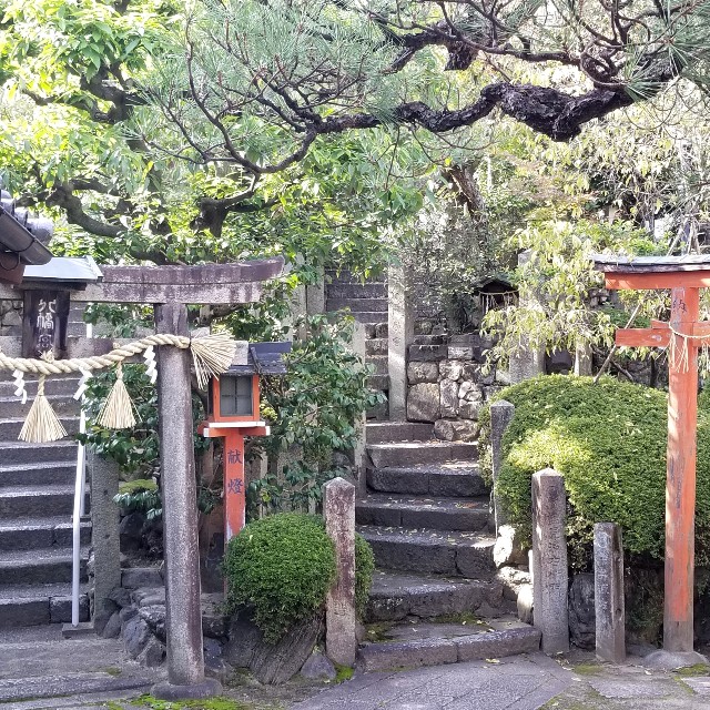f:id:atoriatoriatori:20211111095308j:image