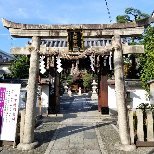 f:id:atoriatoriatori:20211113141920j:image