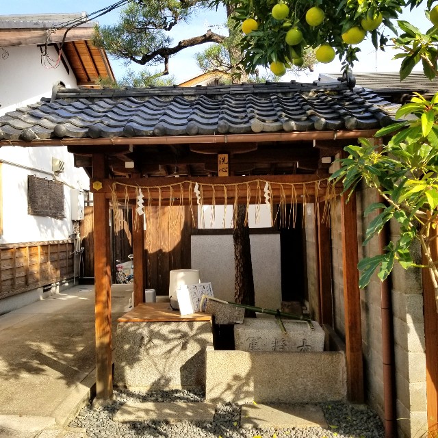 f:id:atoriatoriatori:20211113161809j:image