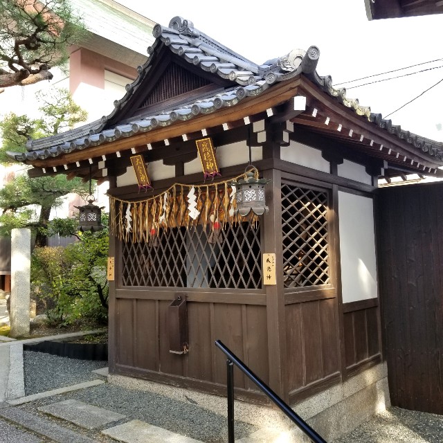f:id:atoriatoriatori:20211113162146j:image