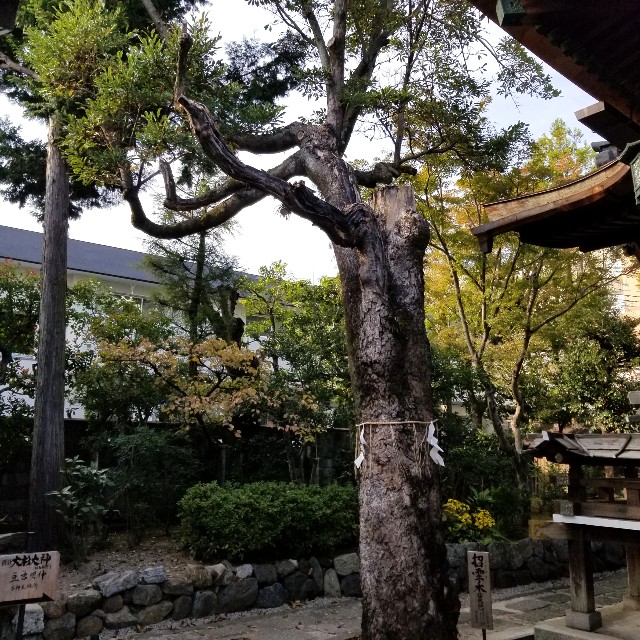 f:id:atoriatoriatori:20211113162201j:image