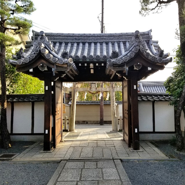 f:id:atoriatoriatori:20211113205409j:image