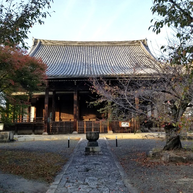f:id:atoriatoriatori:20211114213447j:image