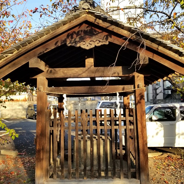 f:id:atoriatoriatori:20211115222653j:image