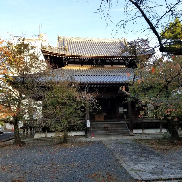 f:id:atoriatoriatori:20211115223903j:image