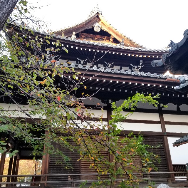 f:id:atoriatoriatori:20211116102937j:image