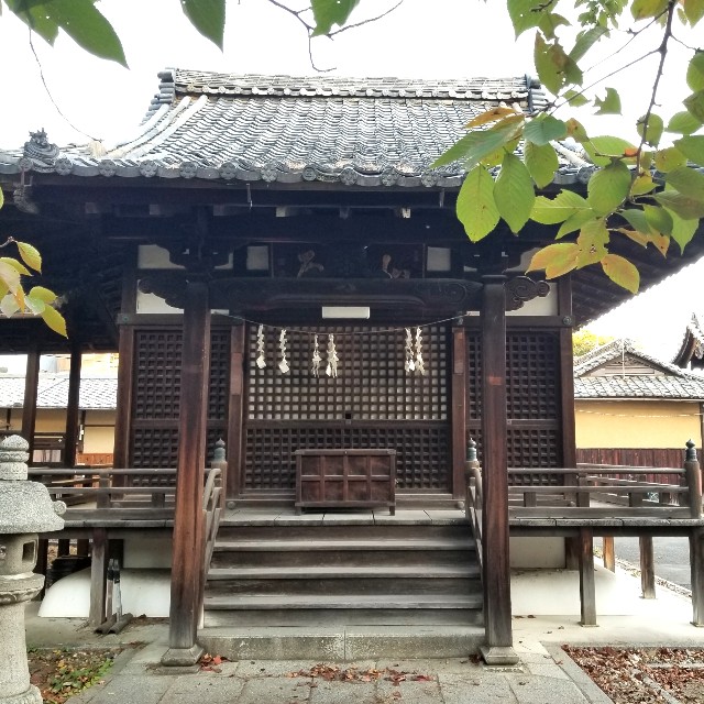 f:id:atoriatoriatori:20211116102946j:image