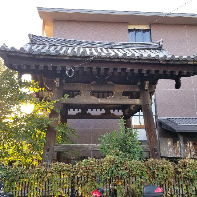 f:id:atoriatoriatori:20211116103358j:image