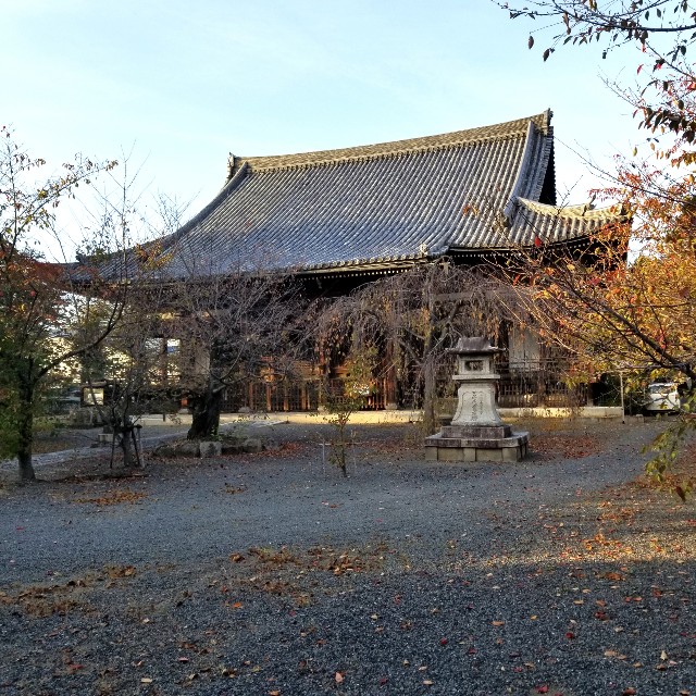 f:id:atoriatoriatori:20211116104452j:image