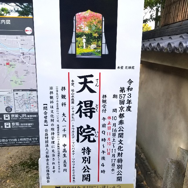 f:id:atoriatoriatori:20211116153208j:image