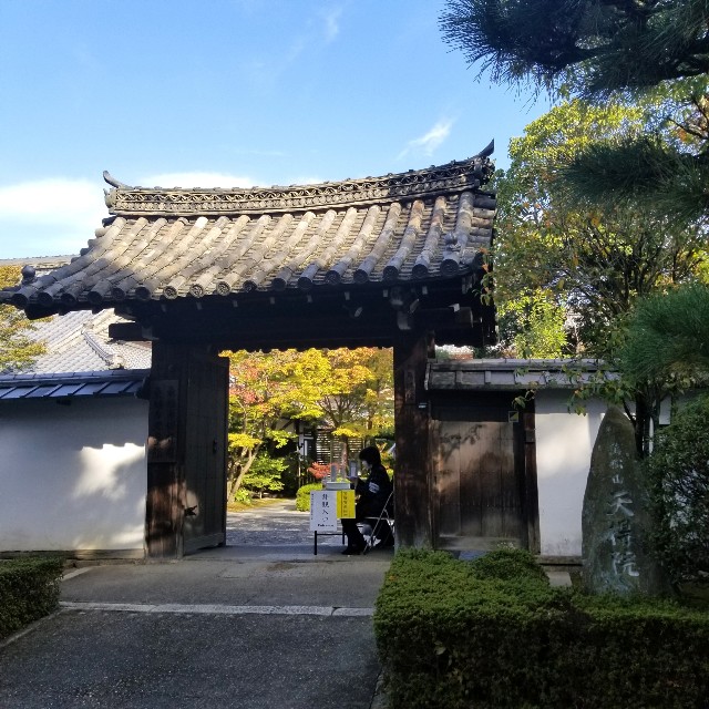 f:id:atoriatoriatori:20211116172647j:image