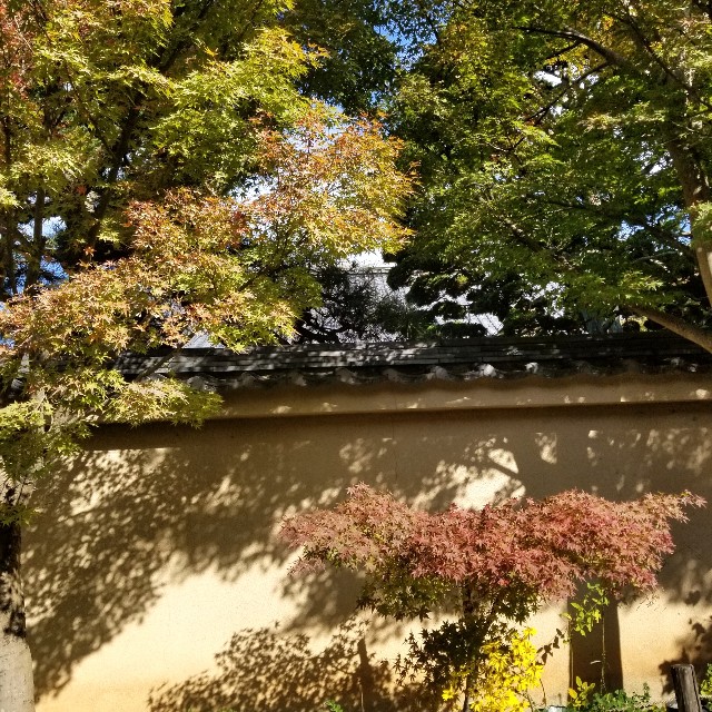 f:id:atoriatoriatori:20211116173020j:image
