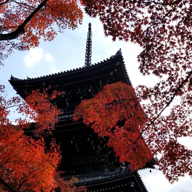 f:id:atoriatoriatori:20211123091748j:image