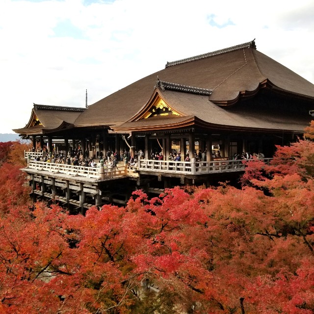f:id:atoriatoriatori:20211128095459j:image