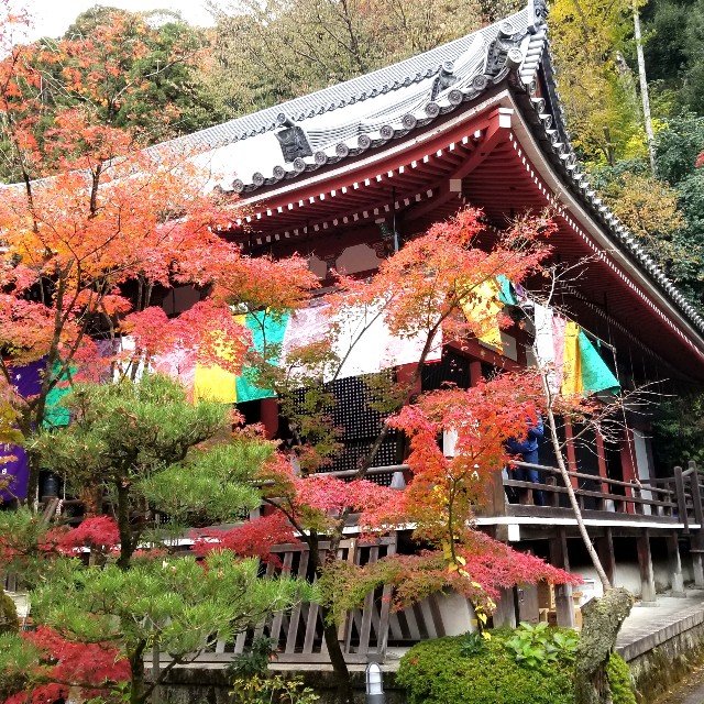 f:id:atoriatoriatori:20211209175645j:image f:id:atoriatoriatori:20211209175645j:image